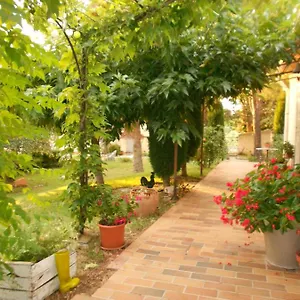 Des Lavandes , Le Pegue France